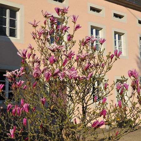 Alte Schmiede In Denkmalgeschuetzter Hofanlage Appartement Messerich Buitenkant foto